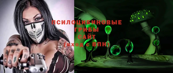 эйфоретик Ладушкин