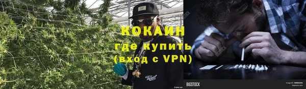 эйфоретик Ладушкин
